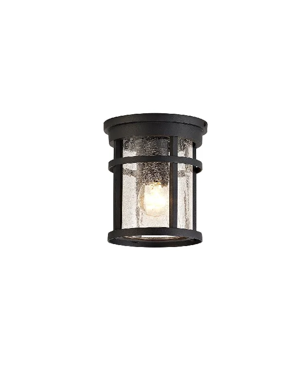 Track lighting for illuminating walkwaysElliot Ceiling, 1 x E27, Black/Clear Crackled Glass, IP54, 2yrs Warranty Track lighting for illuminating walkwaysElliot Ceiling, 1 x E27, Black/Clear Crackled Glass, IP54, 2yrs Warranty