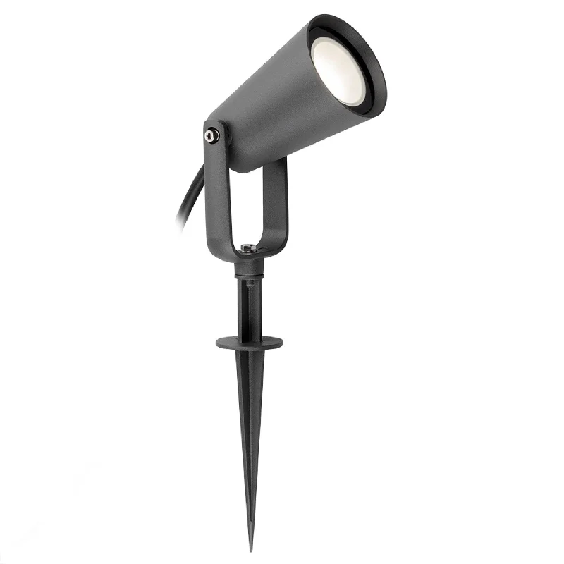 Waterproof track lighting for bathroomsCobra LED Wall & Spike Spot Graphite