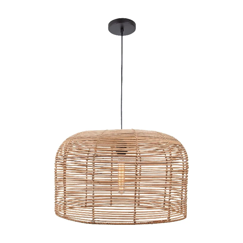 Track lighting for modernizing traditional interiorsBasco 24" Wide 1-Light Pendant