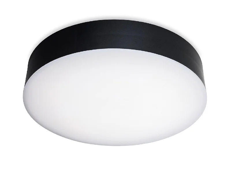 Rustic track lighting for farmhouse decorGlaze LED Resin Flush Ceiling Fitting Black with White Polycarbonate Diffuser Rustic track lighting for farmhouse decorGlaze LED Resin Flush Ceiling Fitting Black with White Polycarbonate Diffuser